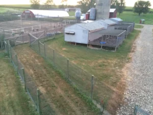 Bird Farm 22