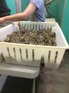 Gamebirds Service in Lisbon, OH